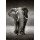 JOHAN SWANEPOEL, Elephant approach from the front