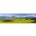 Wolfilser, Panorama Landschaft in Bayern mit Alpen, Berge und Wiesen im Allgäu