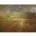 Jean-Francois Millet, Spring at Barbizon, 1868-73 (oil on canvas)