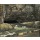 Gustave Courbet, The Source of the Loue or La Grotte Sarrazine (oil on canvas)