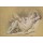 Francois Boucher, Nude Woman on a Bed (charcoal & white chalk on paper)