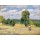 Camille Pissarro, Harvesting at Montfoucault, 1876 (oil on canvas)