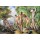 Paul Cézanne, Bathers, c.1892-94 (oil on canvas)