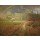 Jean-Francois Millet, Spring at Barbizon, 1868-73 (oil on canvas)
