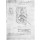 Leonardo da Vinci, Fol. 54r from Paris Manuscript B, 1488-90 (pen & ink on paper)
