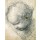 Raphael, Head of a Cherub (black chalk and charcoal on paper)