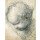 Raphael, Head of a Cherub (black chalk and charcoal on paper)