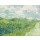 Vincent van Gogh, Green Wheat Fields, Auvers, 1890 (oil on canvas)