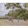 Camille Pissarro, The Public Garden at Pontoise, 1874 (oil on canvas)