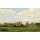 JOSEPH MALLORD WILLIAM TURNER, A View of Oxford (oil on millboard)