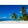 A.Jedynak, Tropical sandy beach with palm trees, Dominican Republic