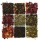 Africa Studio, assortment of dry tea, isolated on white