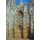 Claude Monet, Die Kathedrale von Rouen, das Portal und die Tour d’Albane