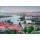 Albert Marquet, Alger, les toits rouges