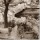 Alan Blaustein, Café, Aix-en-Provence