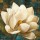 Albena Hristova, Magnolia Blossom Turquoise