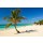 ALEKSANDAR TODOROVIC, Caribbean Island Paradise , Cuba