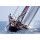 Alinghi, Alinghi 11