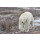 andreanita, Polar bear walking on tundra during blizzard.