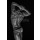 Andrei vishnyakov, Male back