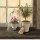 Angela Staehling, Lavender Window Garden