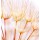 Anna Omelchenko, Abstract dandelion flower background