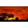 Anna Omelchenko, Landscape of Africa with warm sunset