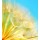 Anna Omelchenko, Soft dandelion flowers