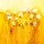 Anne L. Strunk, Summerfields I