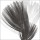 Anne MONTIEL, Plumes II, 2008