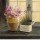 Angela Staehling, Herb Window Garden