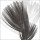 Anne MONTIEL, Plumes II, 2008