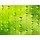 Ayvengo, Abstract dew green background