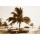 Barbara Dombrowski, Havanna III