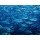 Berhard Böser, Unterwasserwelt III
