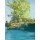 Raphael Bergmann, Insel im See