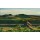Edward Hopper, Hills, South Truro, 1930