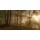 Norbert Maier, Forest Light