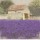 Bret Straehling, Tuscan Lavender