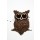 casfotoarda, coffee core owl