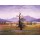 Caspar David Friedrich, Der einsame Baum