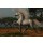 Catmando, UNICORN FOREST
