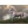 Catmando, White Unicorn Stallion