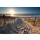 catolla, sunshine over path to beach in North sea