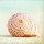 Carolyn Cochrane, Seashell Voices