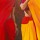 Cédric Cazal, Drapes