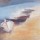Chantal Parise, Rivage Corse II