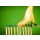 chones, concept with matches- chain reaction