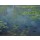 Claude Monet, Seerosenteich