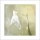 Clotilde ANCARANI, Discussion